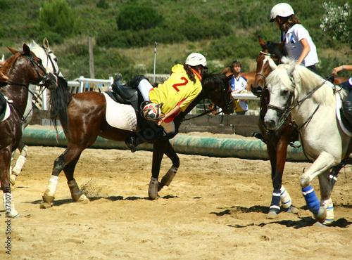 Obraz w ramie Horse Ball