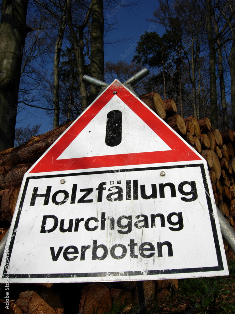 Holzfällung