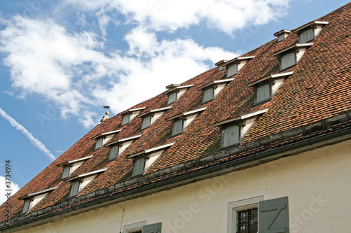 The tiled roof of an old building in Munich, Germany