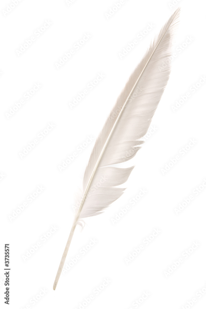 Feather Quill Pen with Stand – ArteOfTheBooke