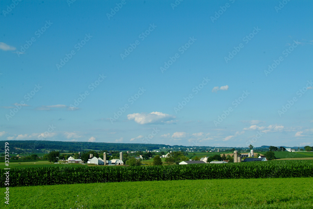 Farm and cornfield in Lancaster PA