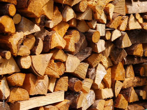 Brennholz