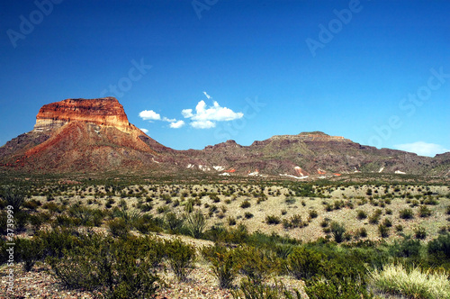 A view of the Chisos Mountains in big Bend National Park. photo