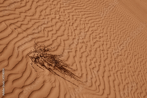 Dune , 3