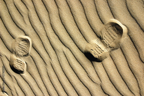 Dune , 5