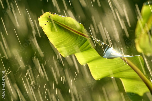 pluie photo