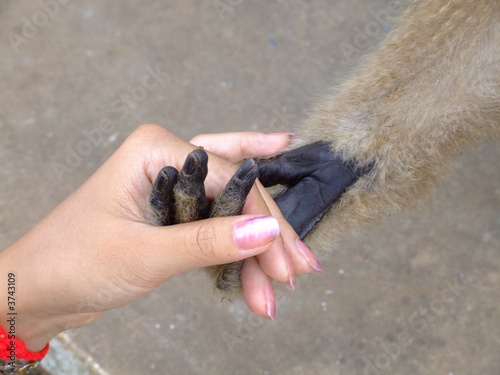 Rencontre, Cambodge photo