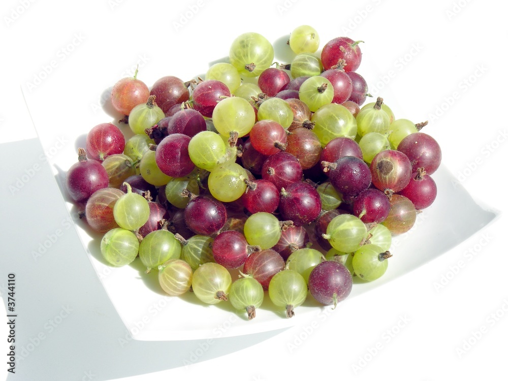 goosberry fruits