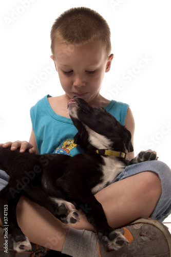 a puppy is trying to reach the boy and kiss him photo