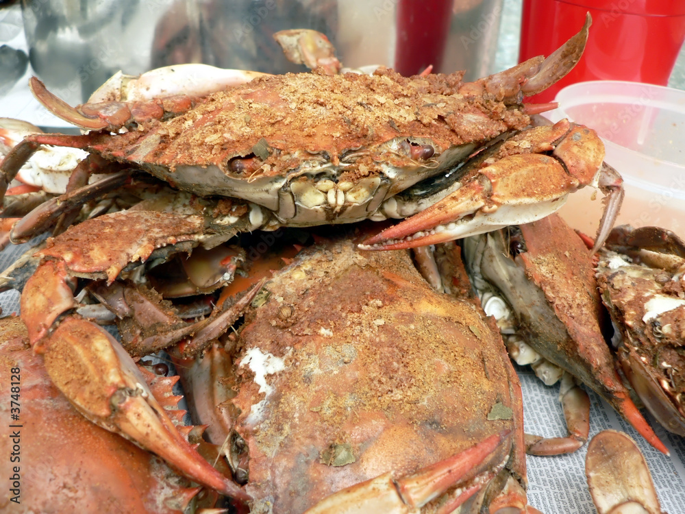 cooked blue crabs from the Chesapeake Bay of Maryland cooked blue crabs from the Chesapeake Bay of Maryland