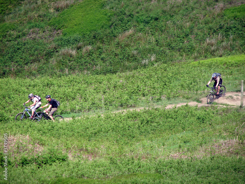 Three Mountain Bikers © Beverley Grace