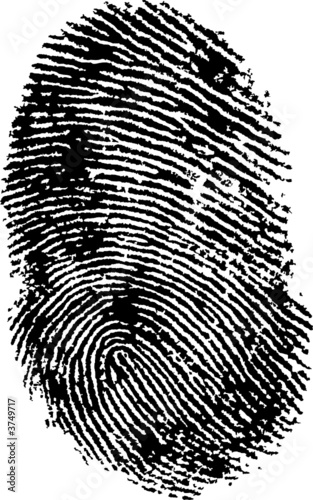 Hi Detail Fingerprint 2
