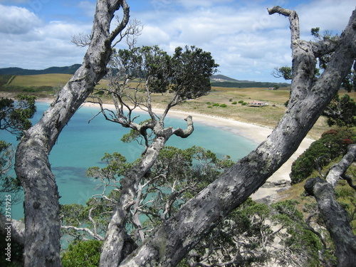 Beach View NZ