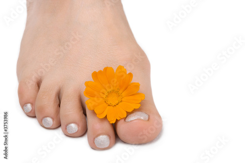 females feet with yllow flower on white photo