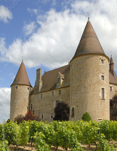 Castle of Corcelles in France with vineyard