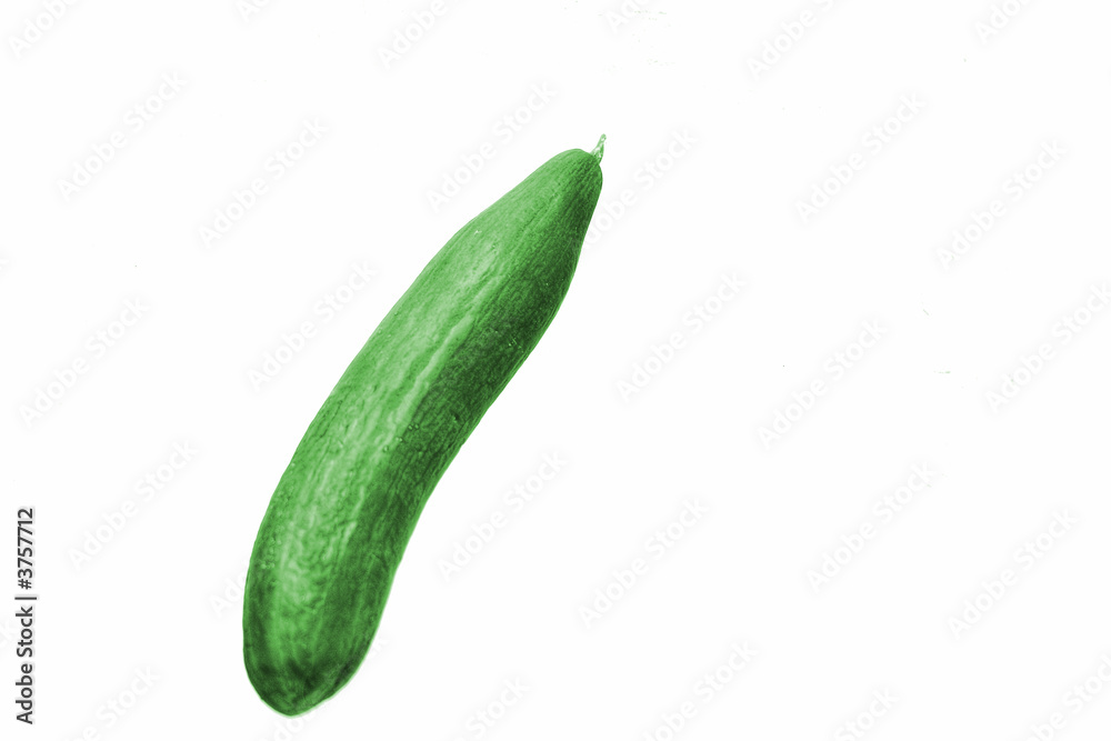 Salatgurke Salatgurke