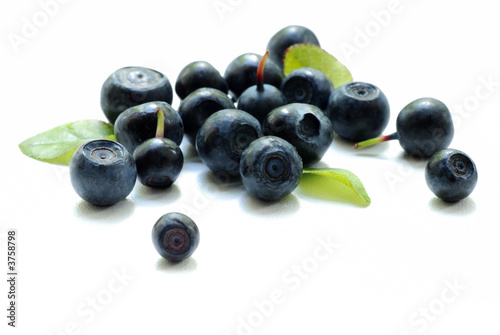 Slika na platnu bilberry close up