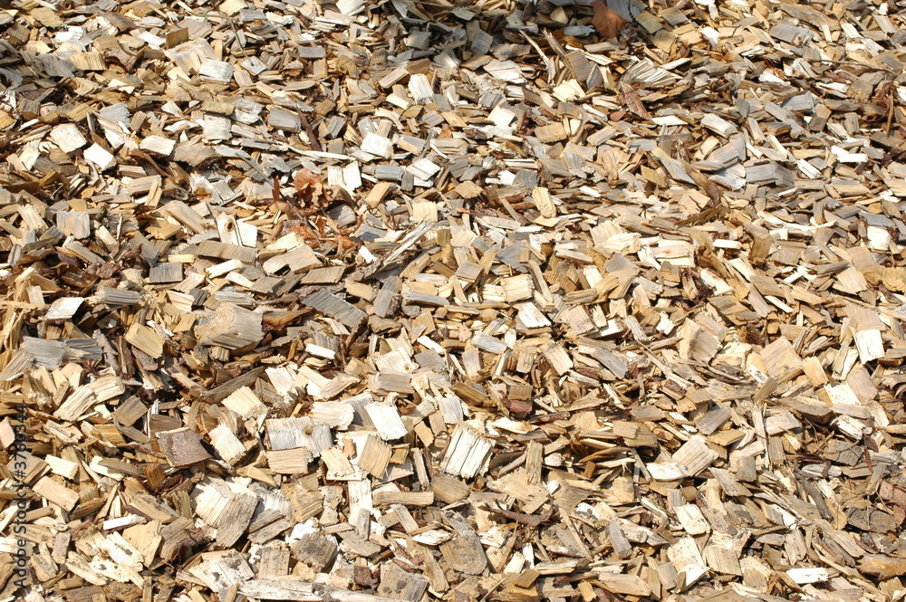 wood wood