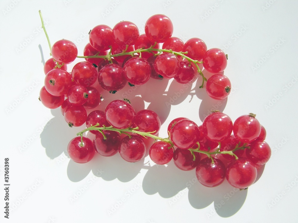 red currants cluster fruits