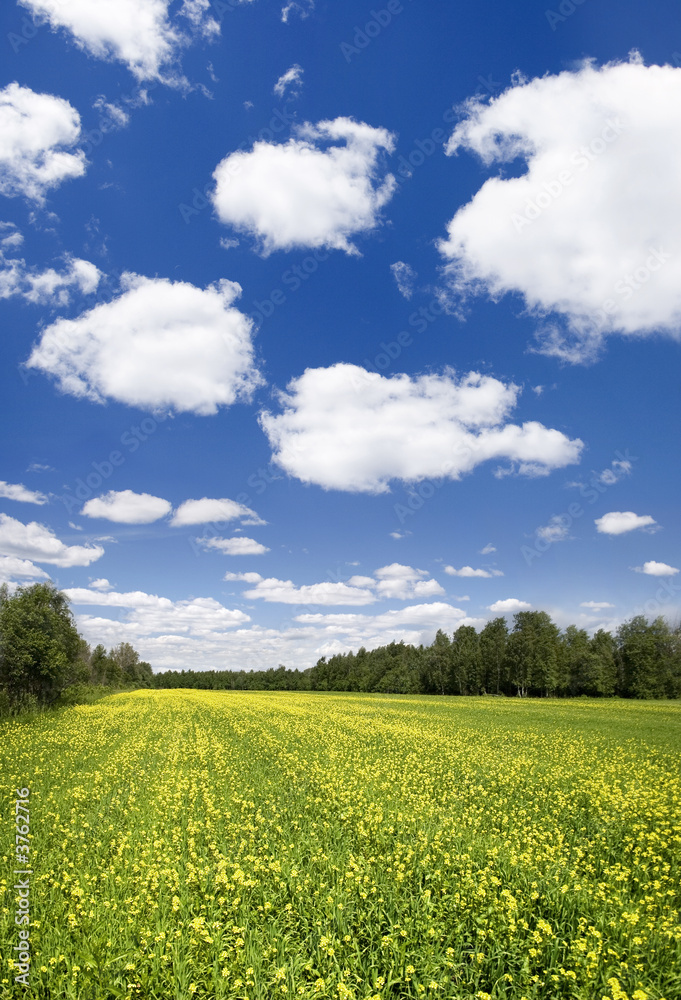 Panoramic photo of spring landscape with blue sky Panoramic photo of spring landscape with blue sky