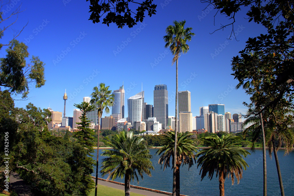 Sydney skyline ..