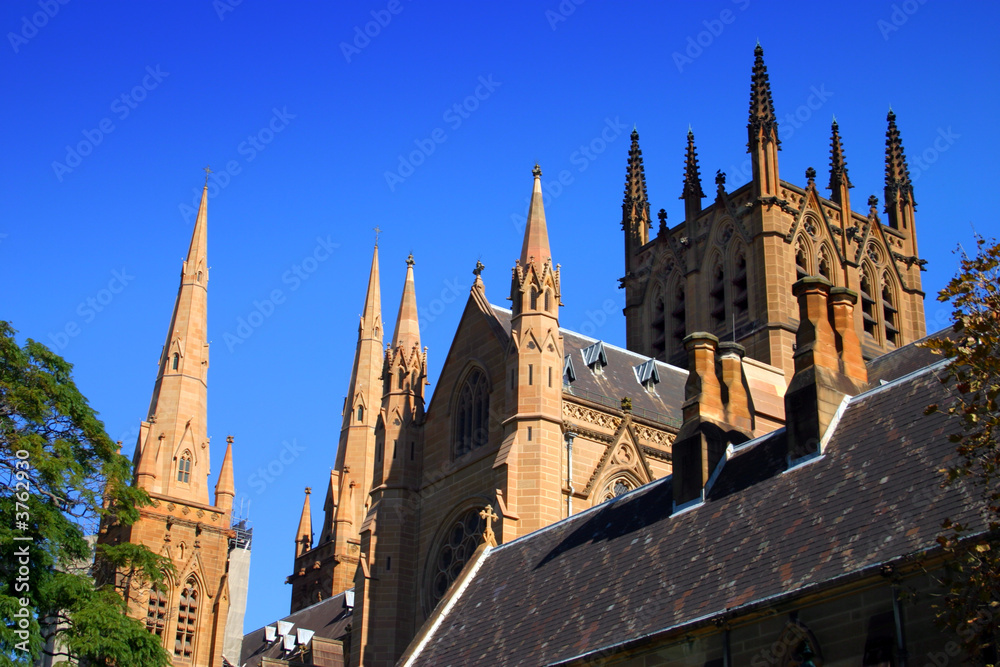 Fototapeta premium St Mary's Cathedral, Sydney..