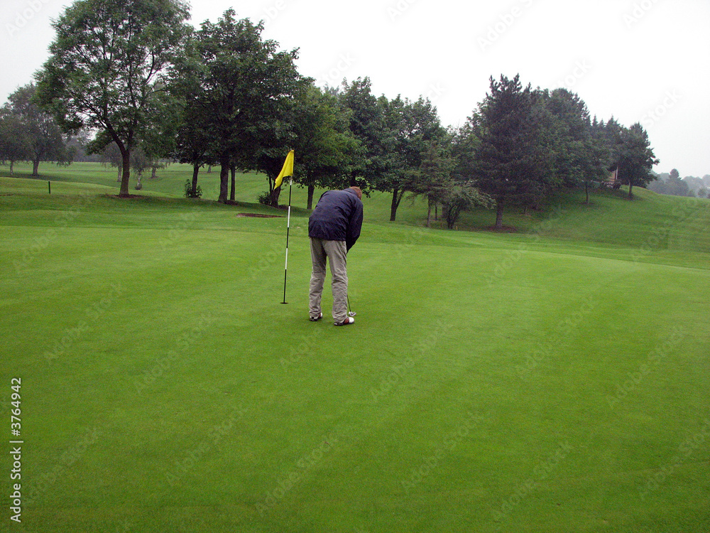 Obraz premium For A Birdie