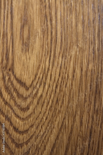oak panel in close up