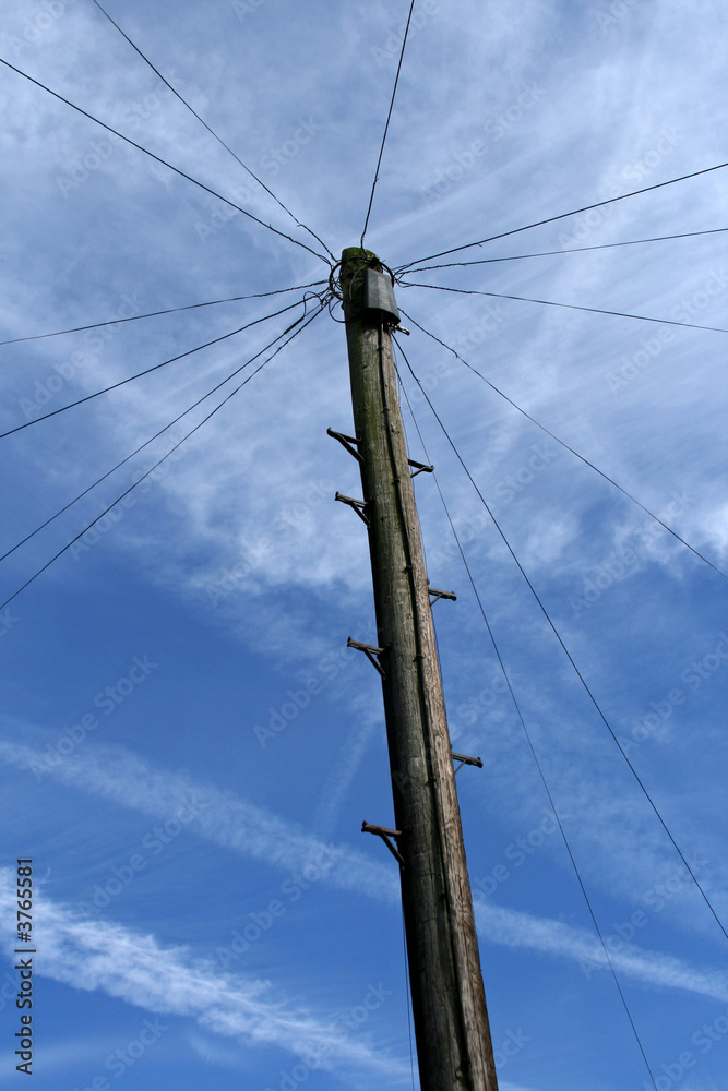 Fototapeta premium lone telephone pole