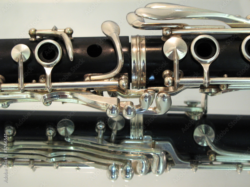 Obraz premium Clarinet in the Mirror