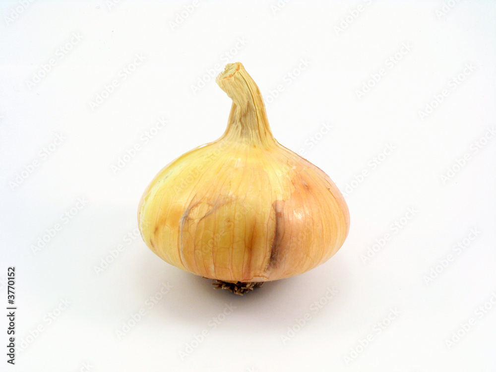 vegetable vegetable
