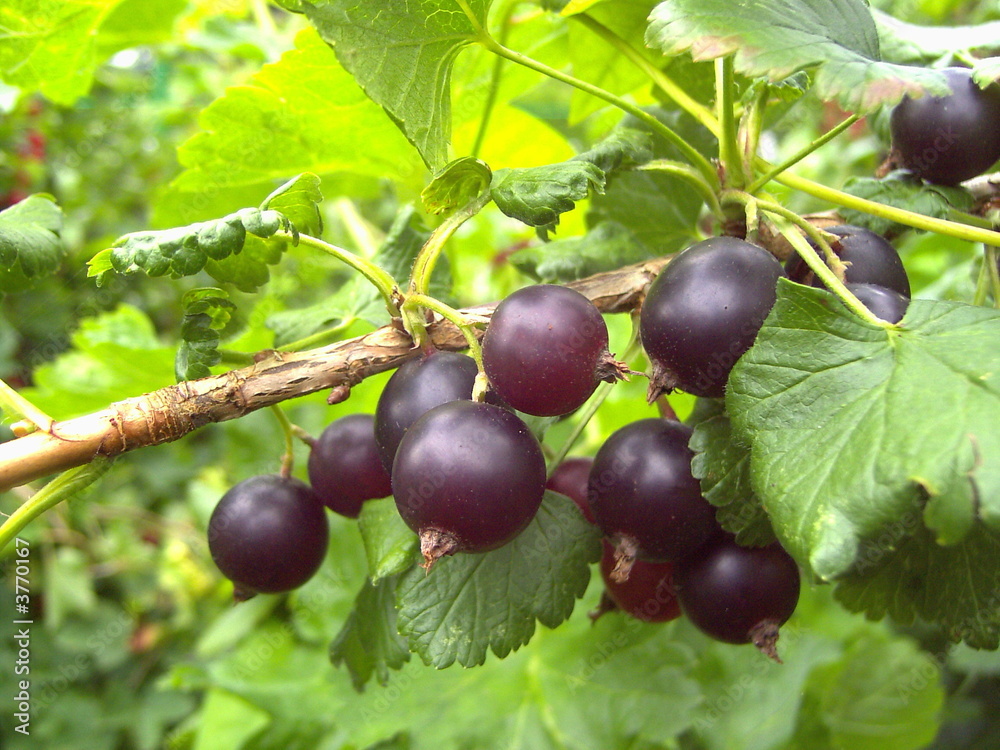 JoSta StockFoto Adobe Stock