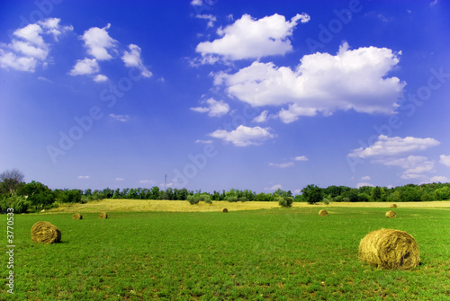 Agricultural landscape of hay bales in a field