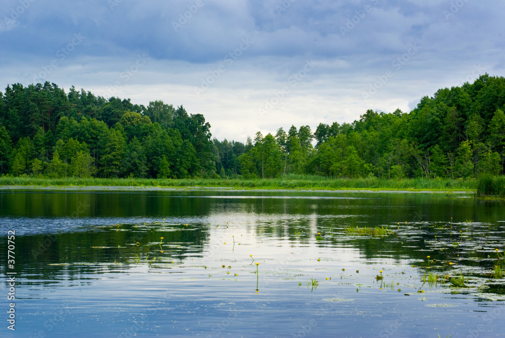 Fototapeta premium Lake and forest view.