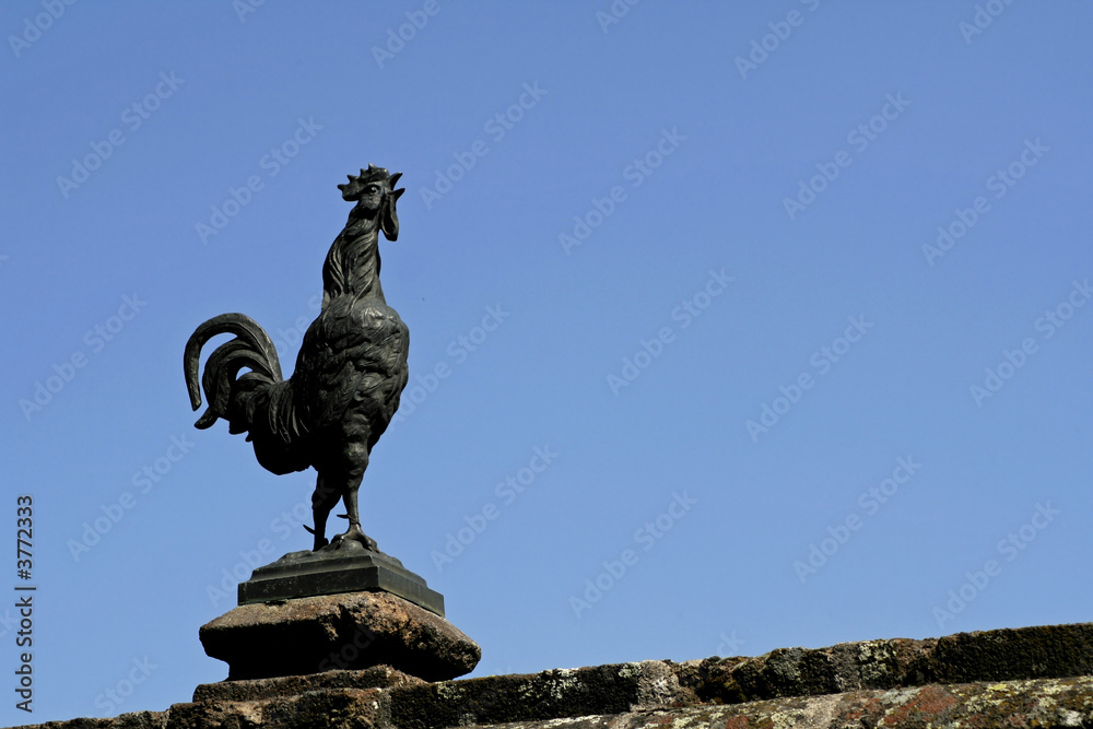 Fototapeta premium sculptured cock on blue sky