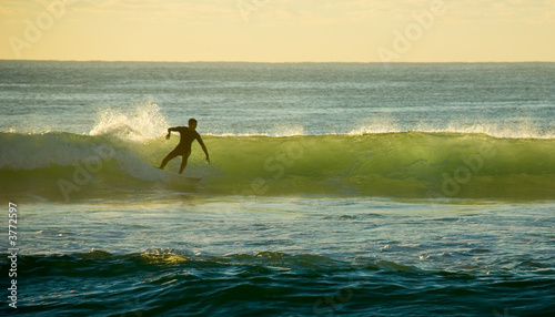 Early morning Surfer Catches a wave in the surf