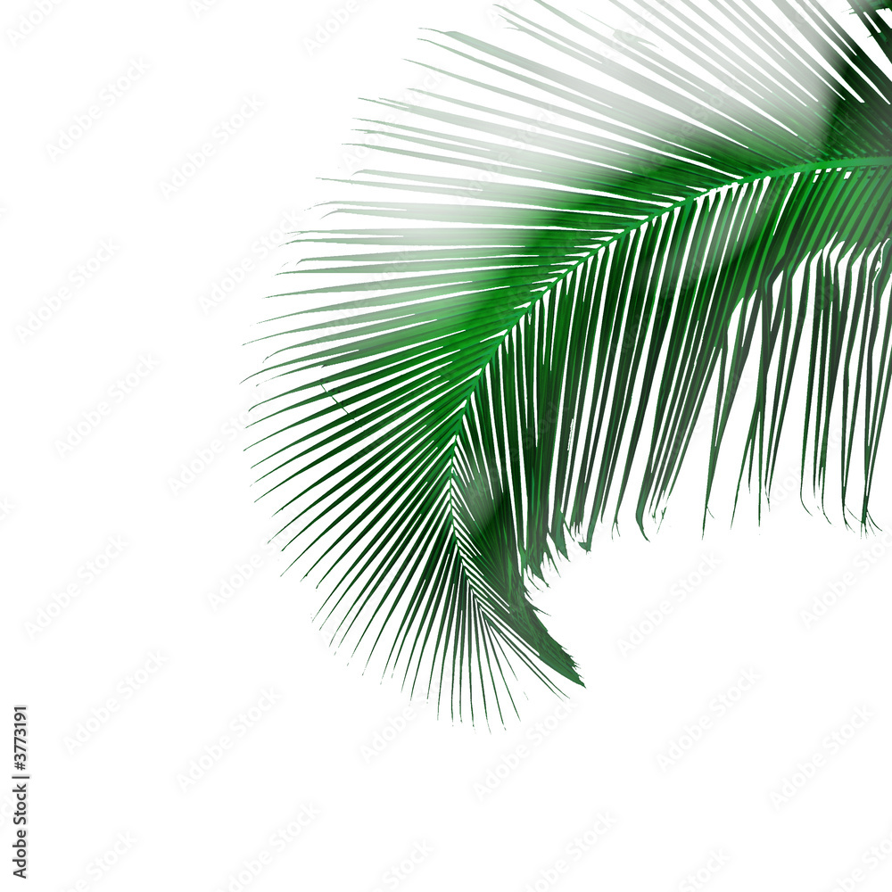 Obraz premium jouvencelle