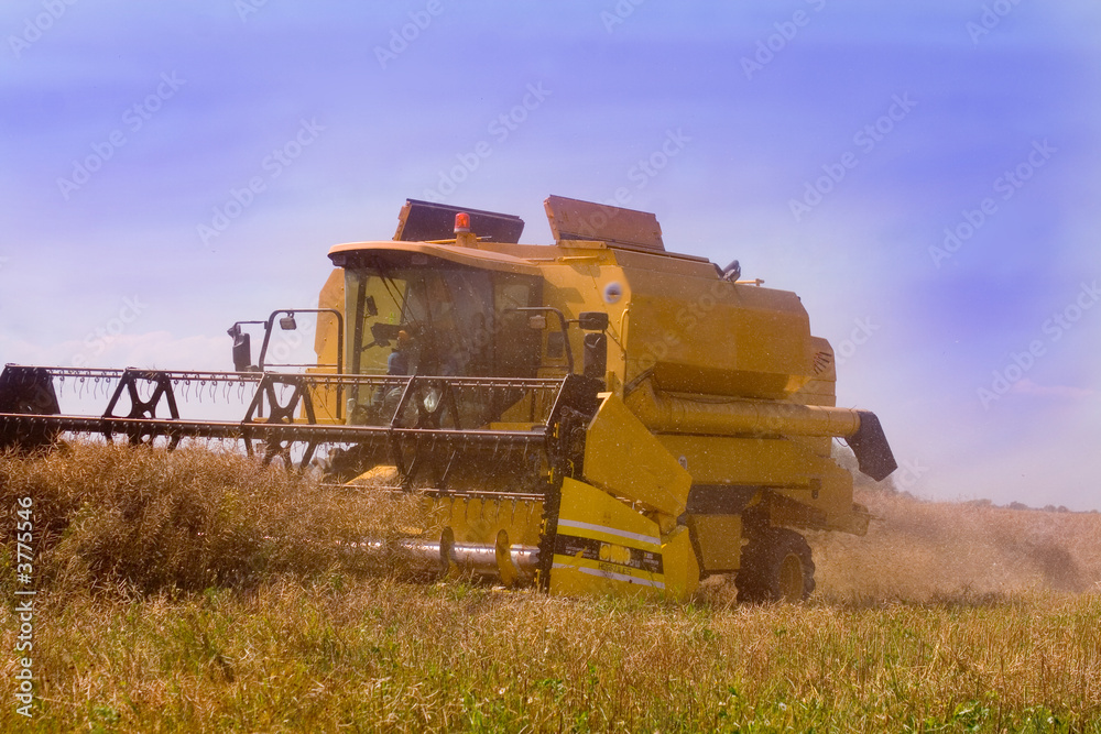 Obraz premium Mähdrescher