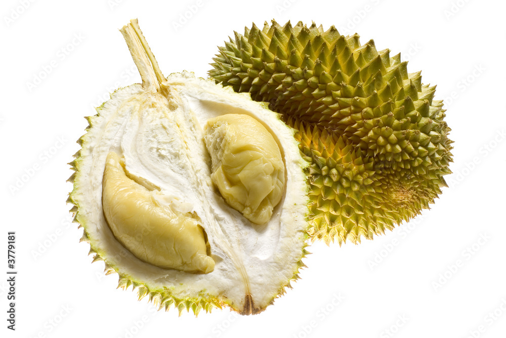 Fototapeta premium Tropical fruit - Durian isolated on white background..