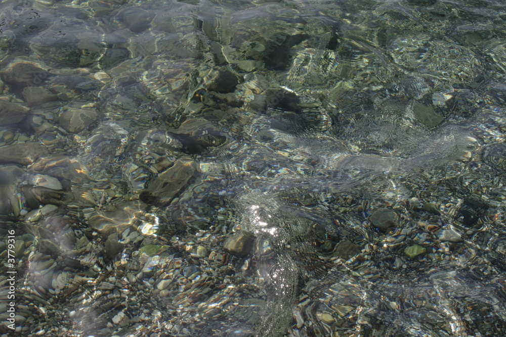 Fototapeta premium Sea-bottom 3