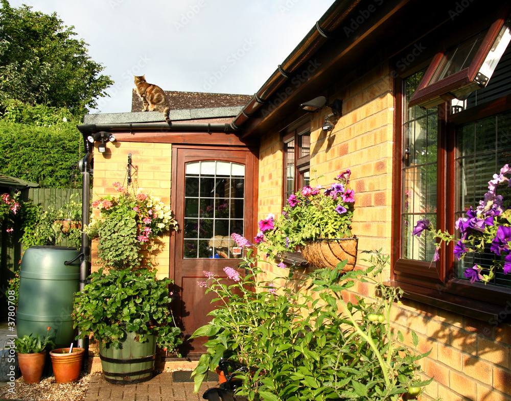 Flowering Baskets and Planters in an English Back garden Flowering Baskets and Planters in an English Back garden