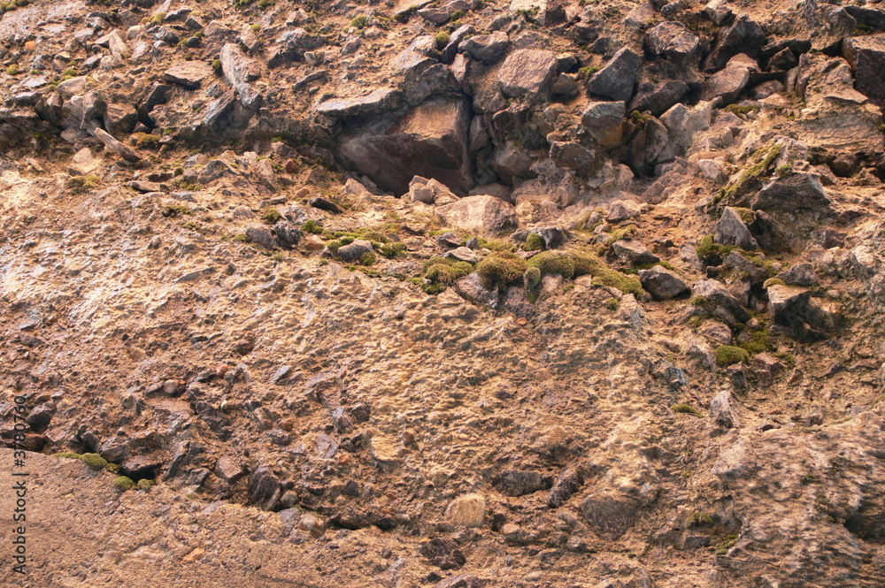 rocky surface rocky surface