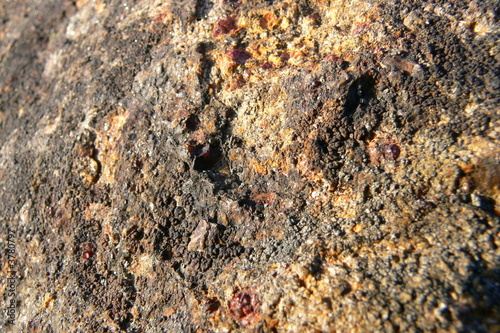 stone texture with lichen