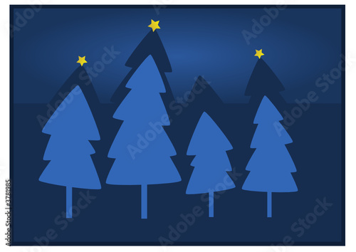 Weihnachtsbäume 