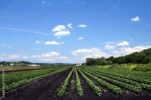 Farmland