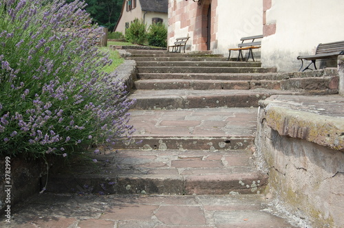 Wallfahrertreppe photo
