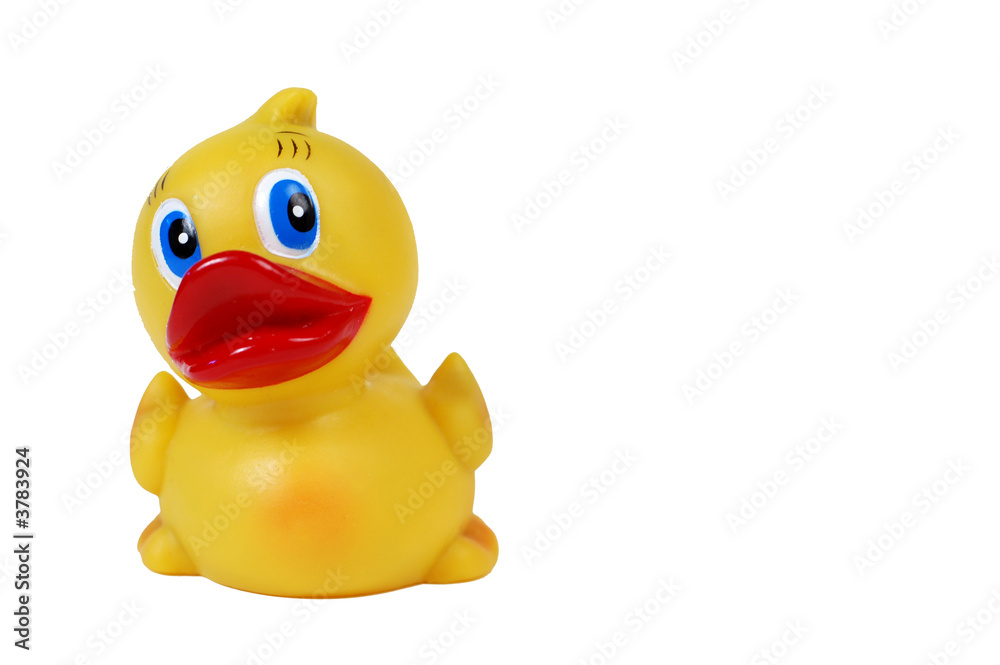 A close-up of a rubber ducky bath toy, isolated on white. A close-up of a rubber ducky bath toy, isolated on white.