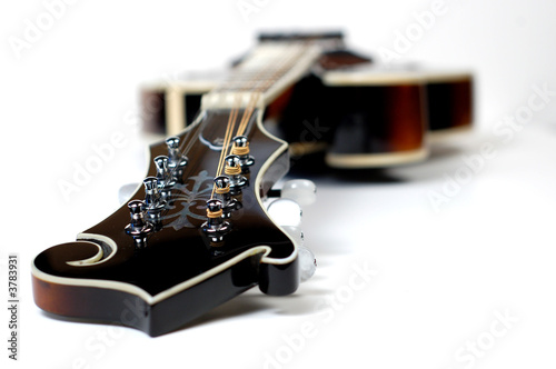 Close up of a mandolin on a white background.