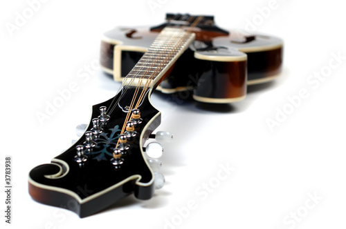 Close up of a mandolin on a white background.