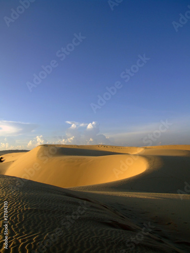 Desert  Vietnam